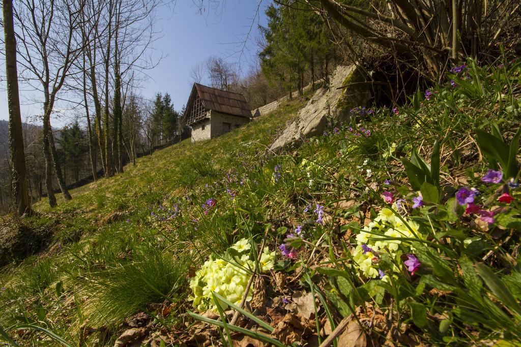 Villa Casa delle Noci Grimacco Camera foto